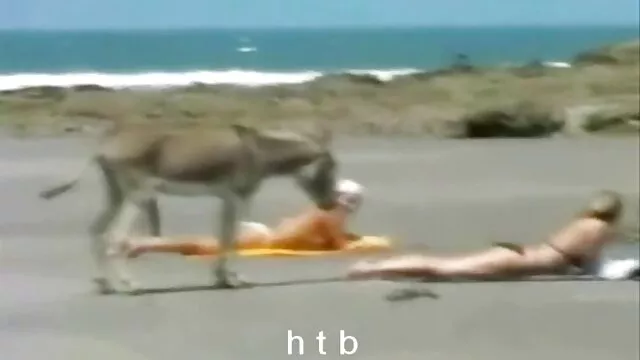 Geen registratie voor volwassenen  Roodharig beest en zijn vriend installeren om de beurt watjes op sexfilmpjes gratis de shank van spiervervalsers