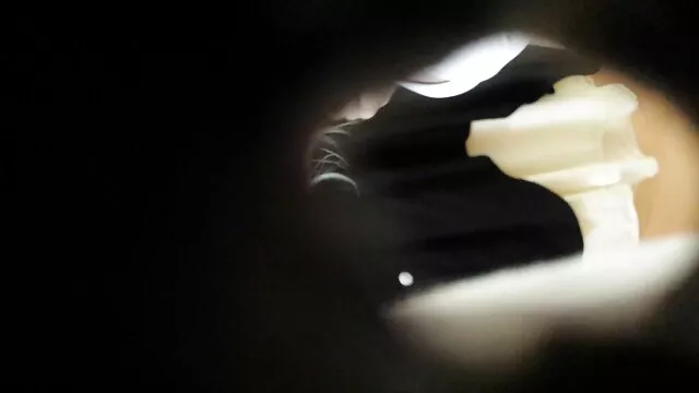 Geen registratie voor volwassenen  Cavalier komt terug van de universiteit en spuugt op magere Kont gratis homo sex filmpjes kanker ontwikkelen